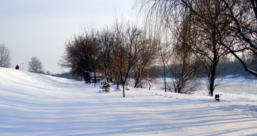 Zale�ena Sava 2012
